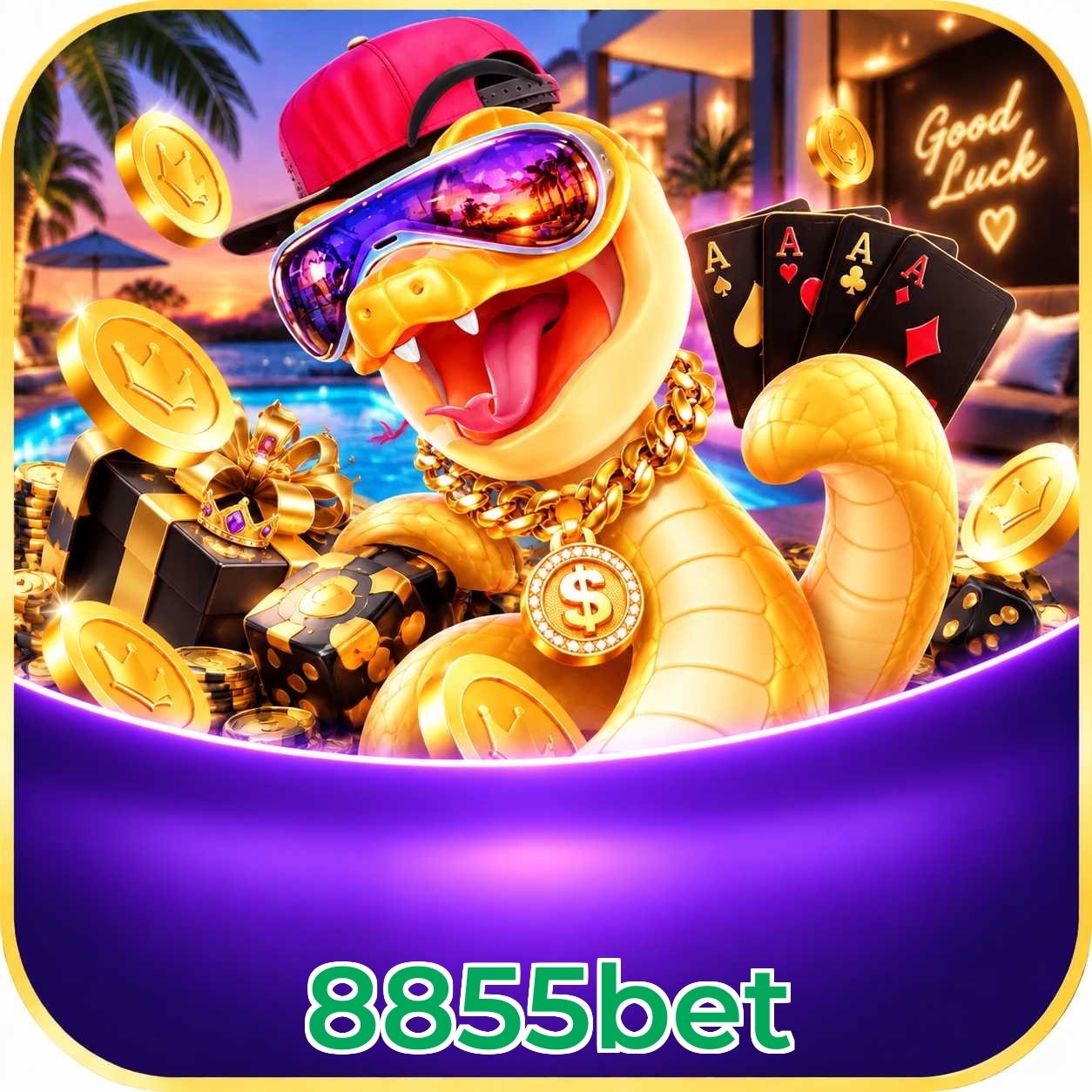 Cassino ao vivo 8855bet com dealers brasileiros e streaming 4K
