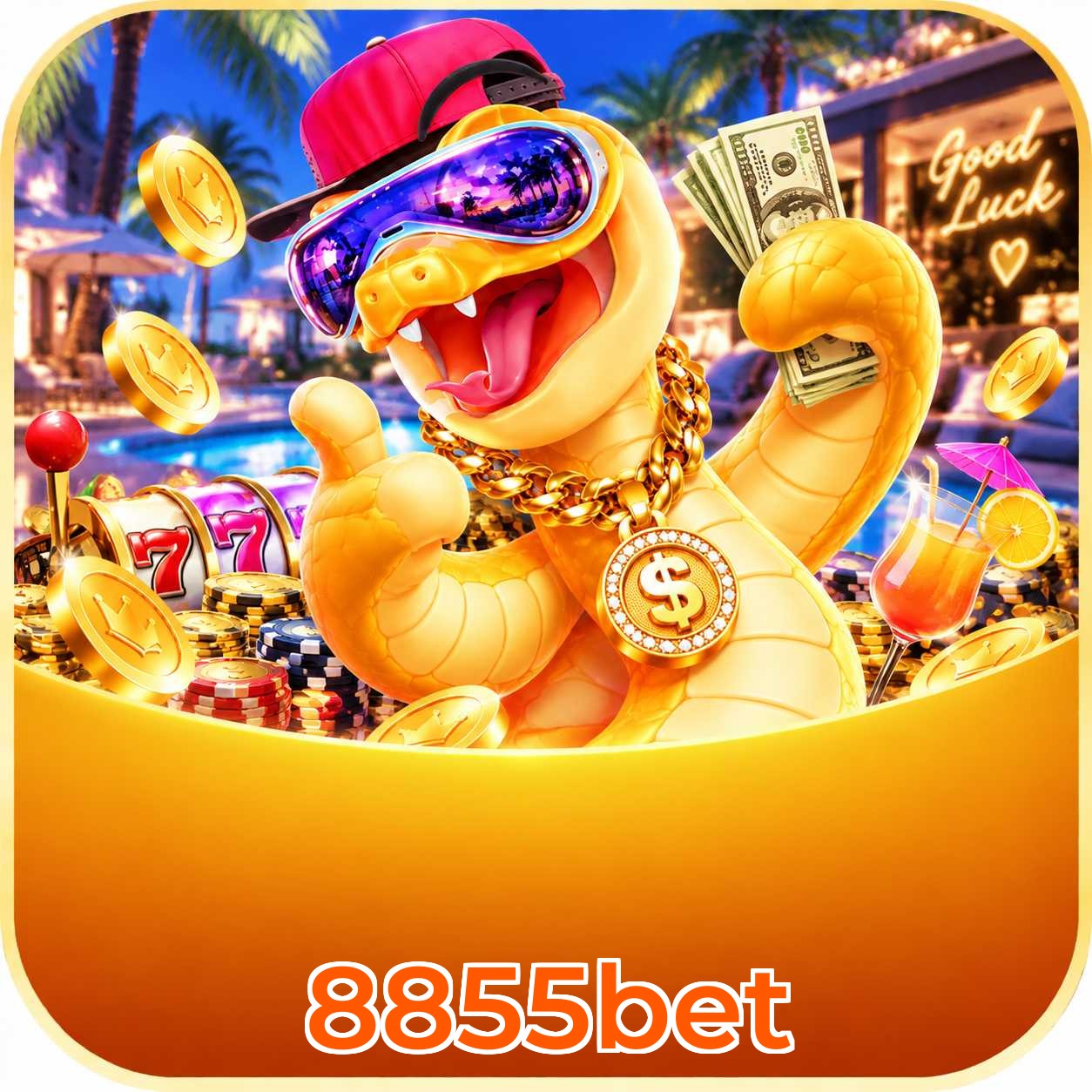 Bônus exclusivo do APK 8855bet